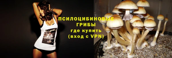 первитин Армянск